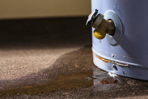 Best Water damage restoration near me  in Nescopeck, PA