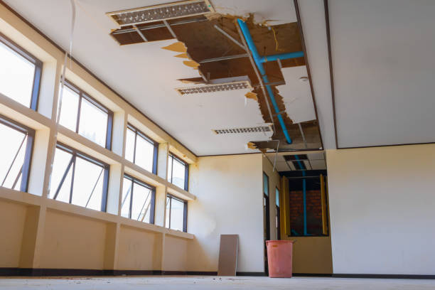 Best Water damage restoration specialists  in Nescopeck, PA