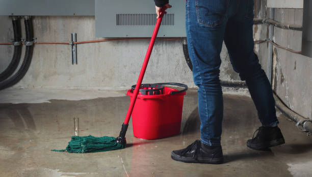 Best Mold removal after water damage  in Nescopeck, PA