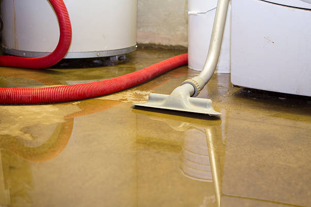 Nescopeck, PA Water damage restoration Company