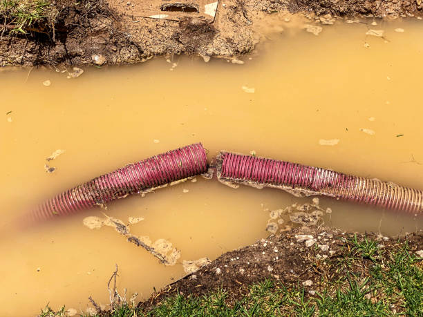 Best Water damage repair service  in Nescopeck, PA