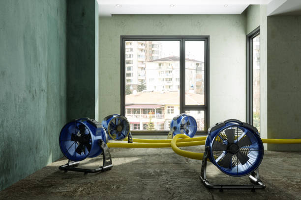 Best Water damage restoration insurance claims  in Nescopeck, PA